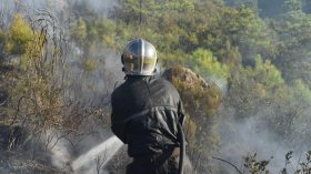 الحماية المدنية تتدخّل لإخماد حرائق في 9 ولايات