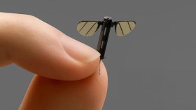 الصين تطور طائرة تجسس بحجم بعوضة (فيديو)