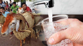 برنامج خاص لتأمين المياه خلال عيد الأضحى
