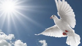 حين تنام الأوطان على وهم السلام: ماذا لو اندلعت الحرب؟