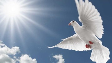 حين تنام الأوطان على وهم السلام: ماذا لو اندلعت الحرب؟