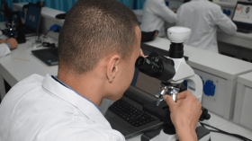 كل ما يجب أن تعرفه حول تسجيلات الالتحاق بمدارس أشبال الأمة