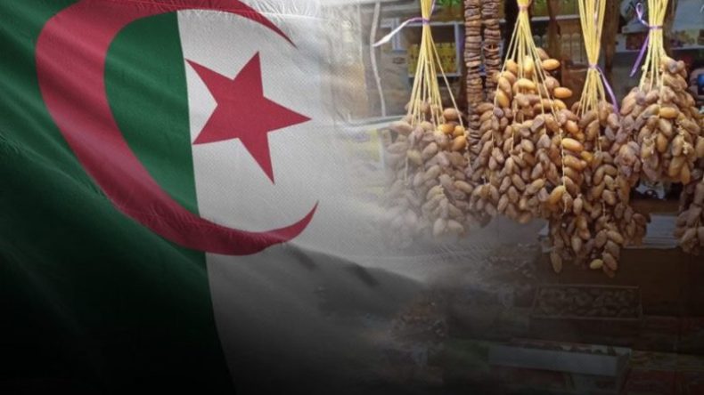 تنصيب لجنة وطنية لدراسة ملف التمور وتعزيز حضورها الدولي
