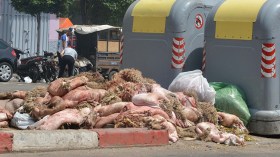 تقدم “ملحوظ” في حملة جمع الجلود.. وتطبيقات رقمية في الخدمة