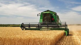 فلاحو بجاية مطالبون بتسليم منتجاتهم إلى تعاونيات الحبوب