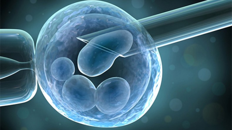جزائريات يقبلن على التلقيح الاصطناعي وتجميد البويضات