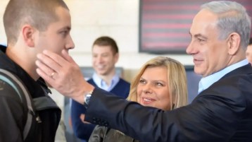 “عرس بغل” في أرض فلسطين