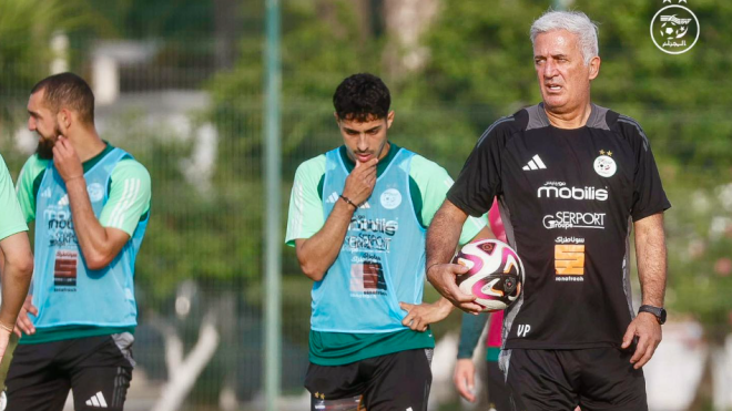 بيتكوفيتش يركز على الجانب التكتيكي قبل التنقل إلى السويد