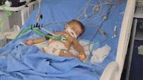 كارثة إنسانية تهدد مئات الرضع في مستشفى ناصر