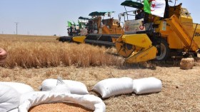 وزارة الفلاحة: نتائج مشجعة في حملة الحصاد والدرس