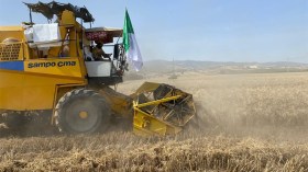 نتوقّع حصاد 35 مليون قنطار من القمح الصلب.. وهذه الولايات المعنية