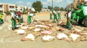 برنامج خاص لجمع جلود الأضاحي