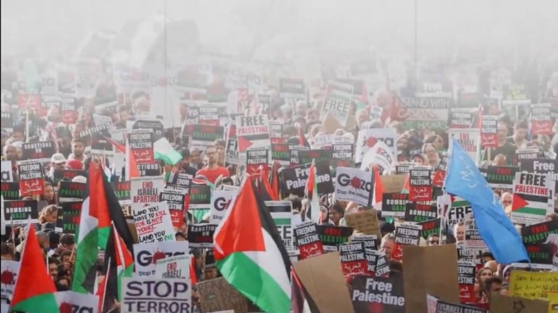 حراك عالمي لكسر الحصار على غزة.. وآلاف النشطاء من 35 دولة يصلون إلى القاهرة