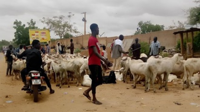 جزائريون يذبحون أضاحيهم في التشاد وملاوي وتنزانيا