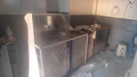 عين تيموشنت: 4 مصابين في انفجار داخل محل للأكل السريع