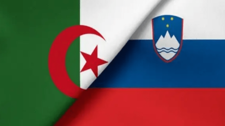 وزير الصحة ووزير العمل في زيارة رسمية إلى سلوفينيا