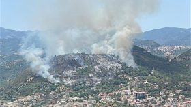 3 طائرات إطفاء لإخماد حريق غابة بولاية سكيكدة