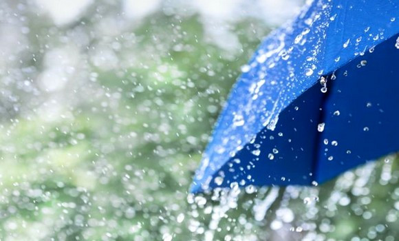 Des pluies orageuses attendues jeudi sur plusieurs wilayas de l’Est du pays