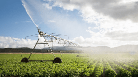 تنفيذًا لتعليمات رئيس الجمهورية.. تنصيب لجان ولائية لتطهير العقار الفلاحي