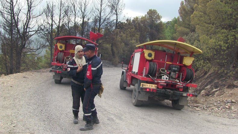 الحماية المدنية: تسجيل 3 حرائق غابات عبر 3 ولايات