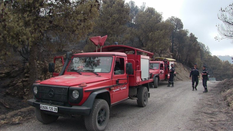 الحماية المدنية: تسجيل 9 حرائق غابات عبر 5 ولايات