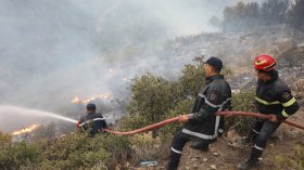 الحماية المدنية: تسجيل 20 حريق غابات عبر 9 ولايات
