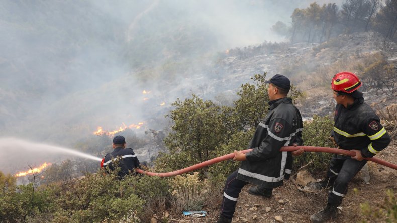 الحماية المدنية: تسجيل 20 حريق غابات عبر 9 ولايات