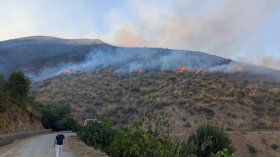 الحماية المدنية: تسجيل 3 حرائق غابات عبر 3 ولايات