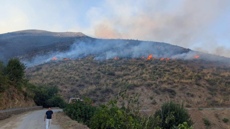 الحماية المدنية: تسجيل 3 حرائق غابات عبر 3 ولايات