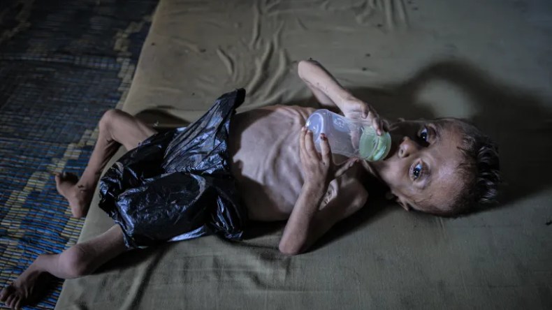 “أمهات غزة أُجبرن على إرضاع أطفالهن الماء بدل الحليب”