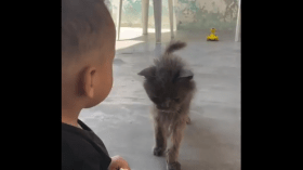 في أشد لحظات جوعه واحتياجه.. طفل غزي يُدرّس العالم معنى الرحمة