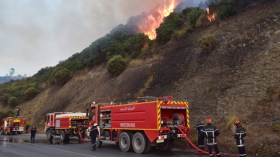 الحماية المدنية: إخماد 47 حريق غابات عبر 14 ولاية