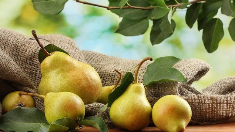 الجزائر تتصدّر قائمة الدول العربية المنتجة لفاكهة الإجاص