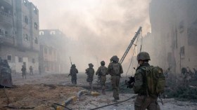 الحل في زوال الاحتلال