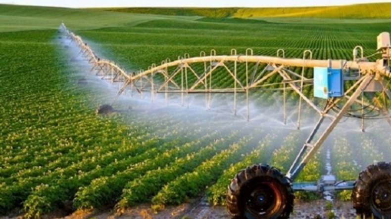 التجربة الفلاحية الصحراوية الجزائرية تلهم دولا إفريقية