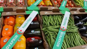 بعد 5 سنوات من الوفرة.. رزيق يبحث سبل تصدير الفائض الفلاحي