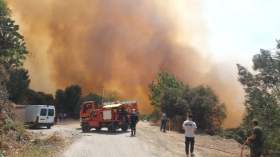 اندلاع حرائق غابات في خمس ولايات