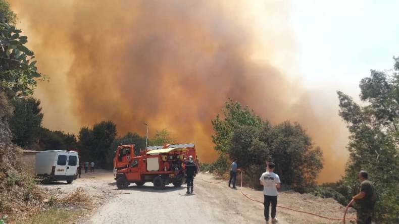 اندلاع حرائق غابات في خمس ولايات
