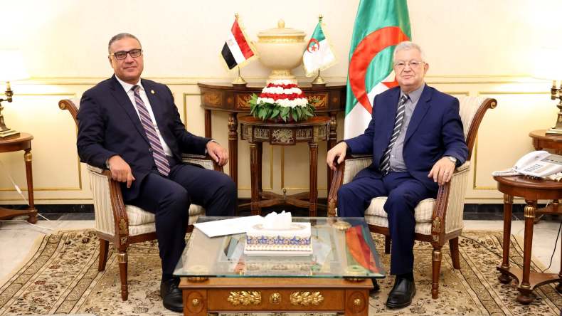 ناصري ينوه بتوافق الرؤى بين الجزائر ومصر حول القضية الفلسطينية