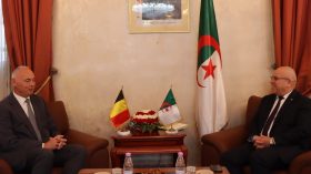 الجزائر وبلجيكا تبحثان التعاون في مجالي الإنتاج النباتي والحيواني