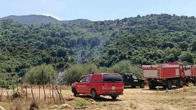 الحماية المدنية: إخماد 10 حرائق غابات عبر 8 ولايات