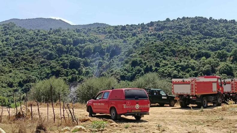 الحماية المدنية: إخماد 10 حرائق غابات عبر 8 ولايات