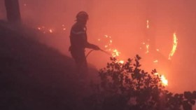 الحماية المدنية: إحصاء 16 حريق غابات وأدغال خلال 24 ساعة