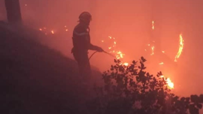 الحماية المدنية: إحصاء 16 حريق غابات وأدغال خلال 24 ساعة