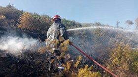 تسجيل 15 حريقًا للغطاء النباتي خلال 24 ساعة