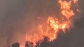 تسجيل 18 حريق غابات وأدغال خلال الـ 24 ساعة