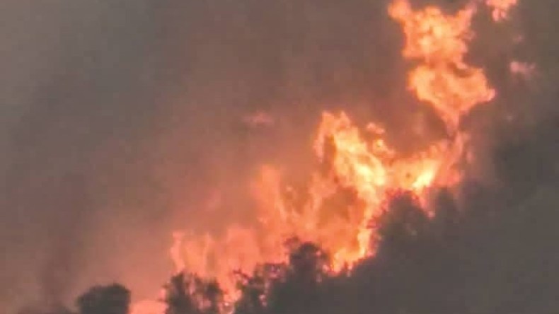 تسجيل 18 حريق غابات وأدغال خلال الـ 24 ساعة