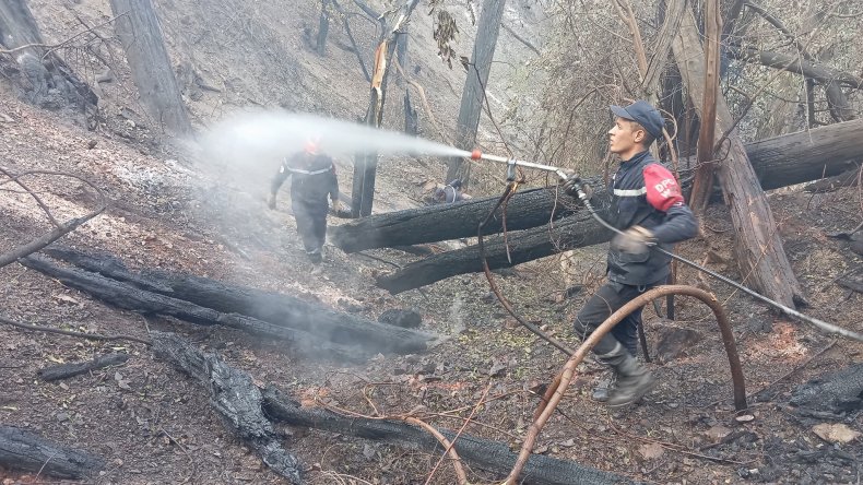 السيطرة على حريق الشريعة بولاية البليدة