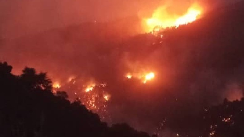 حريق الشريعة.. أضرار في شبكة الكهرباء وقطع احترازي للغاز