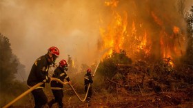 منذ سبع سنوات.. انخفاض غير مسبوق في حرائق الغابات خلال 2025